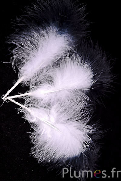 Plumet 3 plumes - hauteur 20 cm - blanc-anthracite
